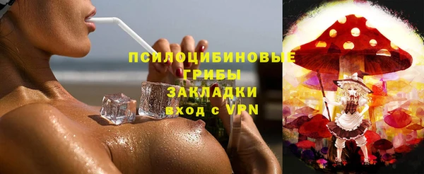 твердый Белокуриха